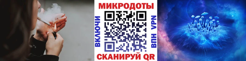 Псилоцибиновые грибы Cubensis  Рудня 