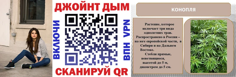 закладки  Рудня  Конопля AK-47 